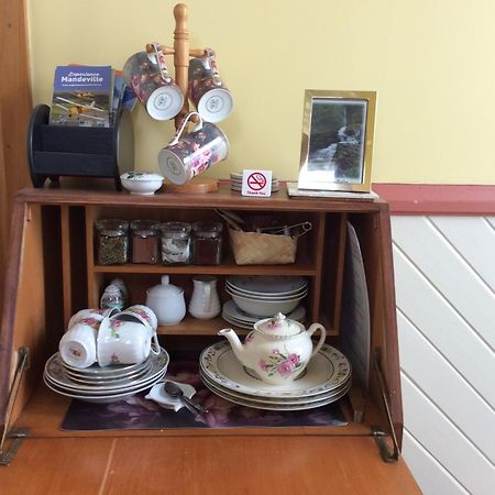 Catlins Retreat B & B Owaka Экстерьер фото